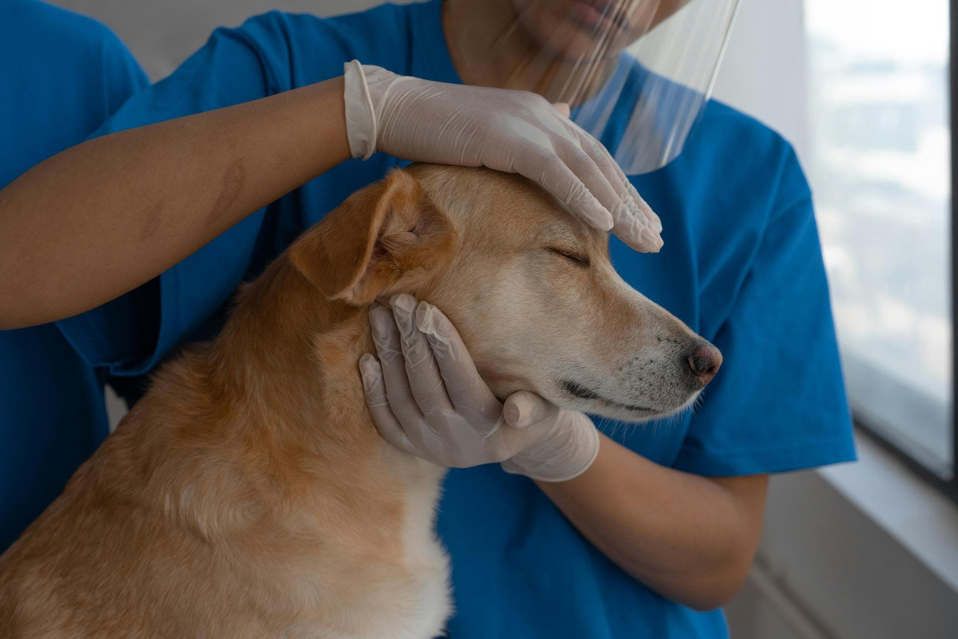 Annual Vaccination Booster Prices in Huddersfield
