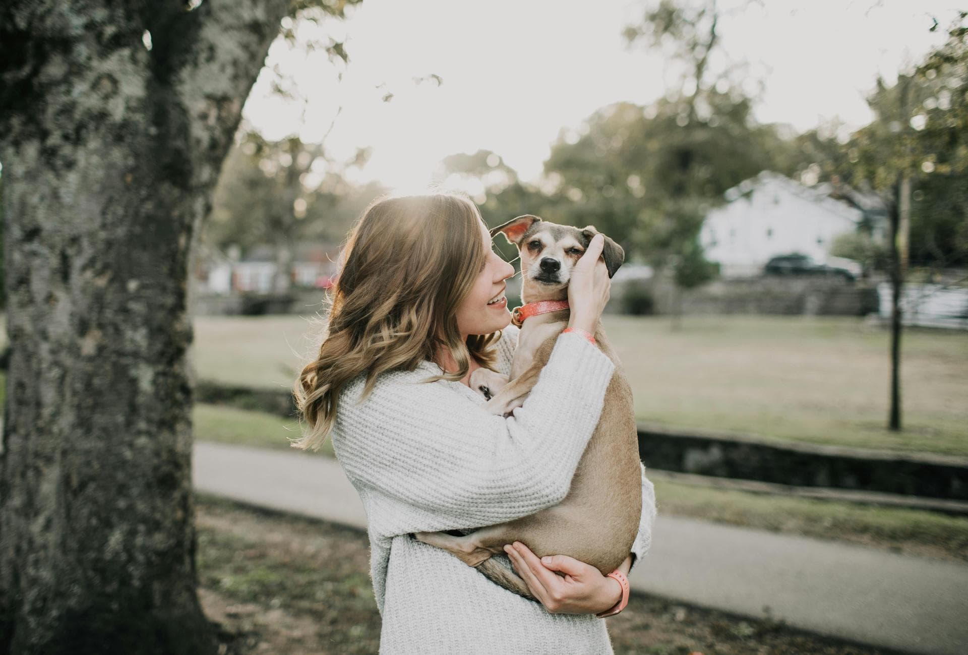 Dog Puppy Vaccinations Kennel Cough Prices in Huddersfield